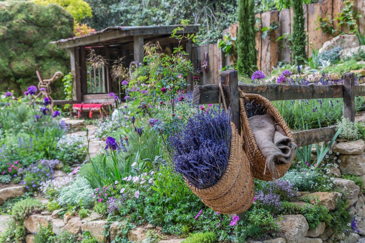 OG Media Solutions tweet media