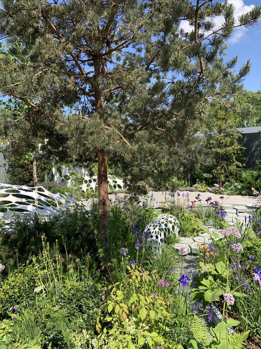 #ManchesteratRHS #RHSChelsea2019 
The Manchester Garden designed by <a href="/ExtArchitecture/">Exterior Architecture</a> demonstrates innovation, efficiency, beauty and a commitment to a sustainable urban green infrastructure. An incredible journey through time! Thank you <a href="/marketing_mcr/">Greater Manchester Japan Mission 2025</a>, <a href="/CityofTreesMcr/">City of Trees</a>