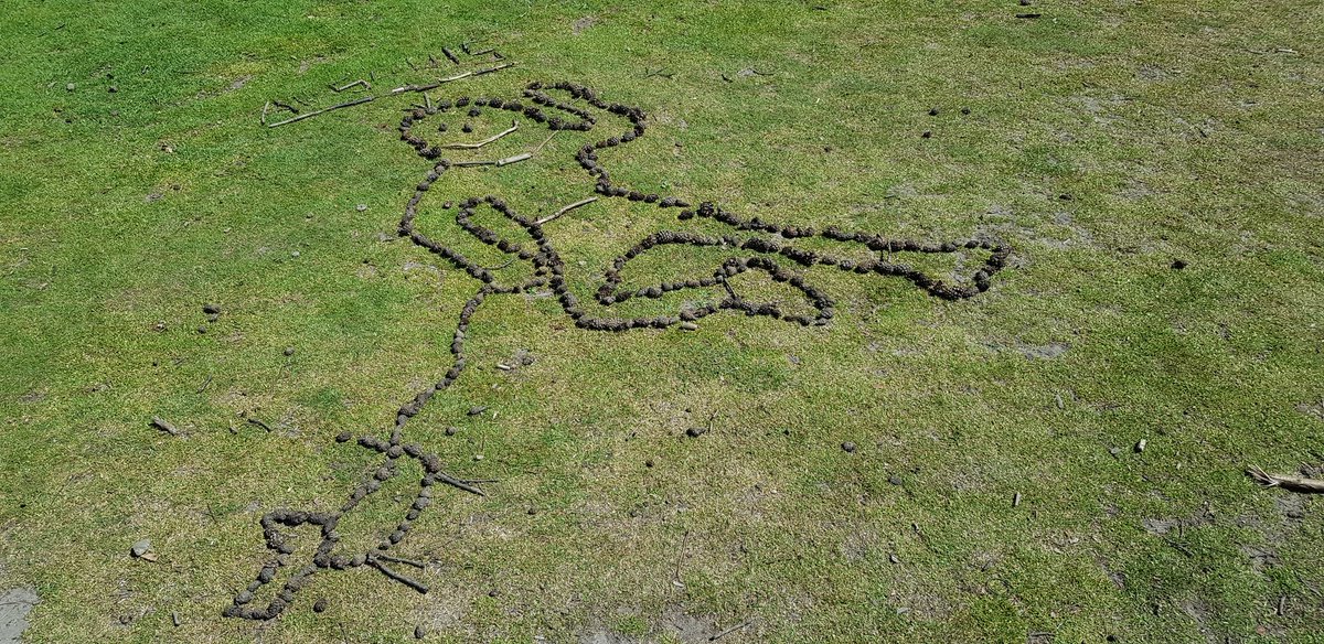 AllSoulsFitz's tweet photo. Making pine cone outlines at the top of Pitch Hill 😊☀️ https://t.co/840axJ49yV