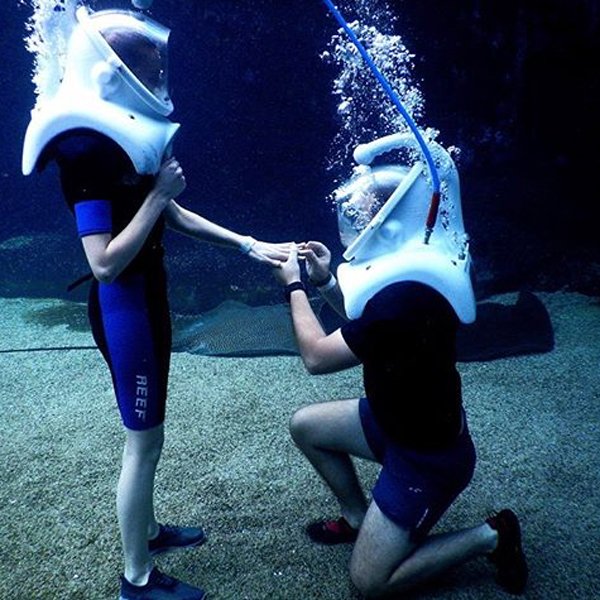 uShakaMarine's tweet photo. To dreams coming true, we say "I DO!" 💍💍
Life is magical under the sea! 😍❤️
.
(📷:@erika_de_wet_grobler)
#regram #uShaka #SeaAnimalEncounterIsland #OceanWalker #UnlimitedFun https://t.co/N6RDSjZoDv