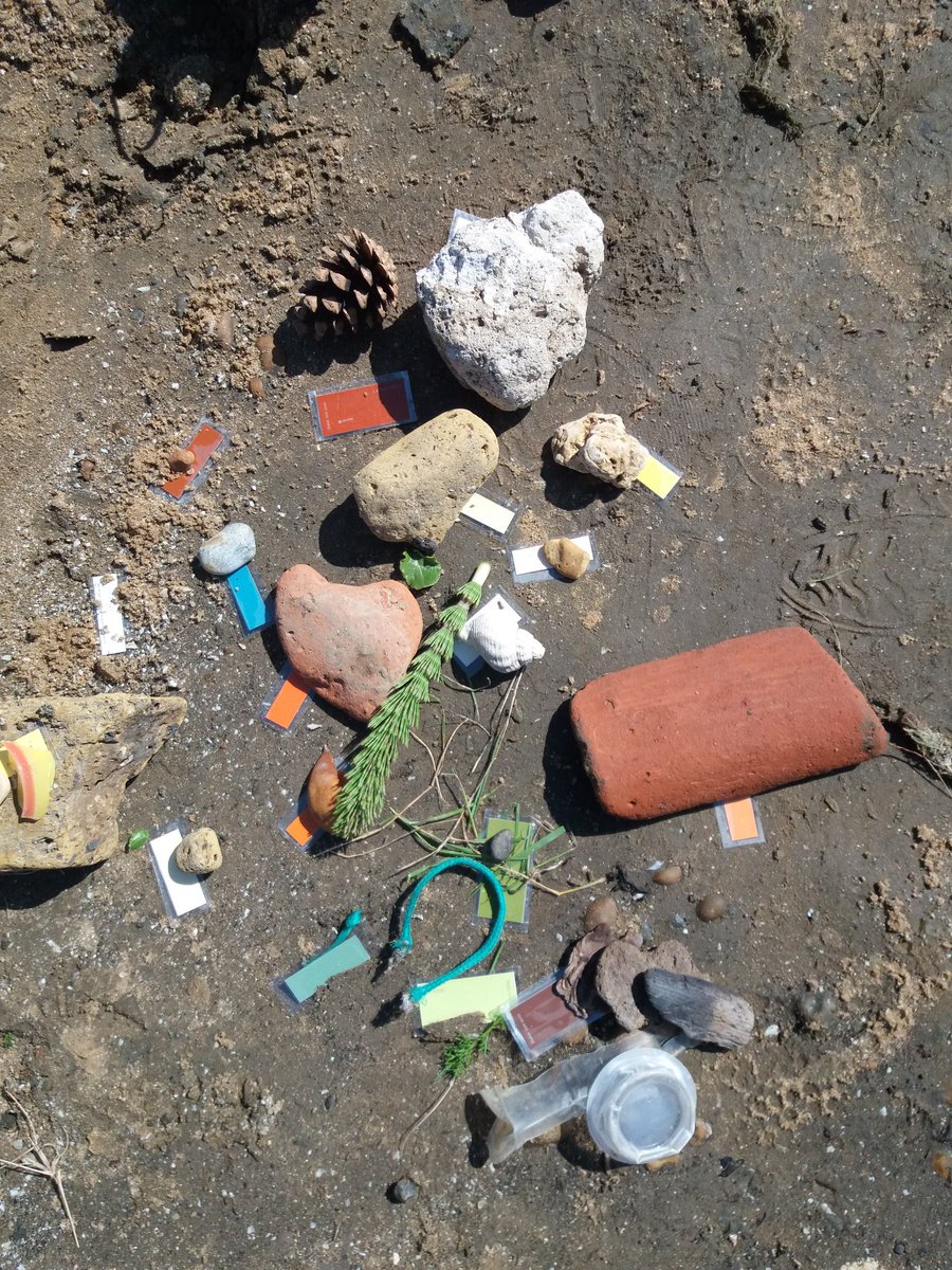 SWTlearningteam's tweet image. Colour matching with @BawdseyPrimary on the Beach. Well done to class one who found all these colours from the natural and sadly unnatural things found on the Beach #wildbeach