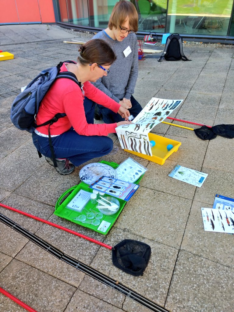 DrBiol's tweet photo. Had a great morning with #secondary #technicians for 'Technicians Supporting Biology: 11-19' @STEMLearningUK @Helen1960Rose 
We've carried out a wide range of fieldwork techniques while studying #biodiversity and #ecosystems. 
Lots of lovely #OutdoorLearning https://t.co/DyIUPh6xJs