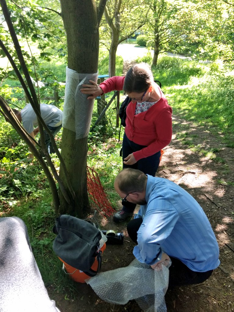 DrBiol's tweet photo. Had a great morning with #secondary #technicians for 'Technicians Supporting Biology: 11-19' @STEMLearningUK @Helen1960Rose 
We've carried out a wide range of fieldwork techniques while studying #biodiversity and #ecosystems. 
Lots of lovely #OutdoorLearning https://t.co/DyIUPh6xJs