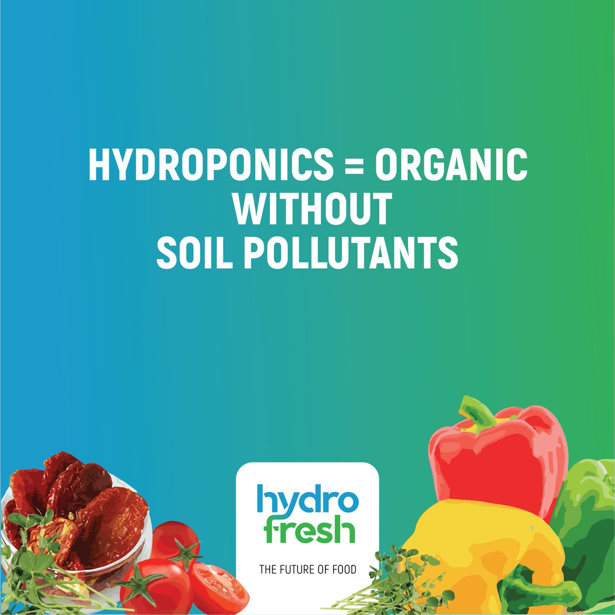 GoHydrofresh's tweet photo. Hydroponics produces vegetables far superior to organically grown ones with nutrient dense content and better flavor.

#hydrofresh #hydrokartIndia #gohydrofresh #Bangalore #hydroponics #hyroponicallygrown #salads #organicsalads #healthyfood #health #nutritonalfood #nutrition https://t.co/dwFDCMLOqq