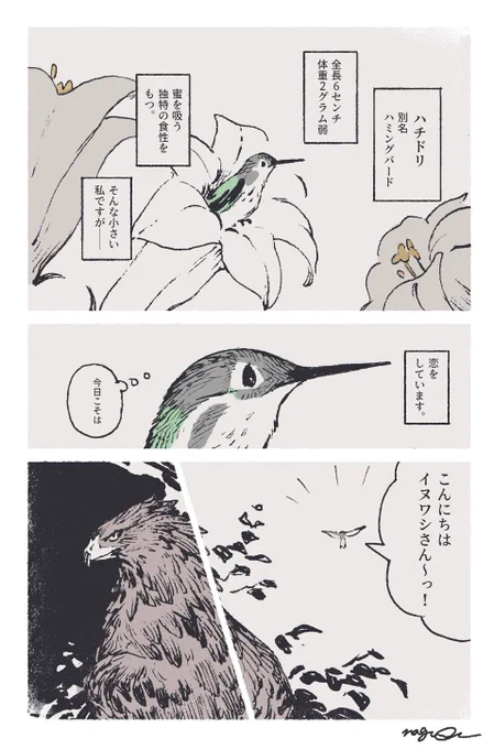 BLです。 