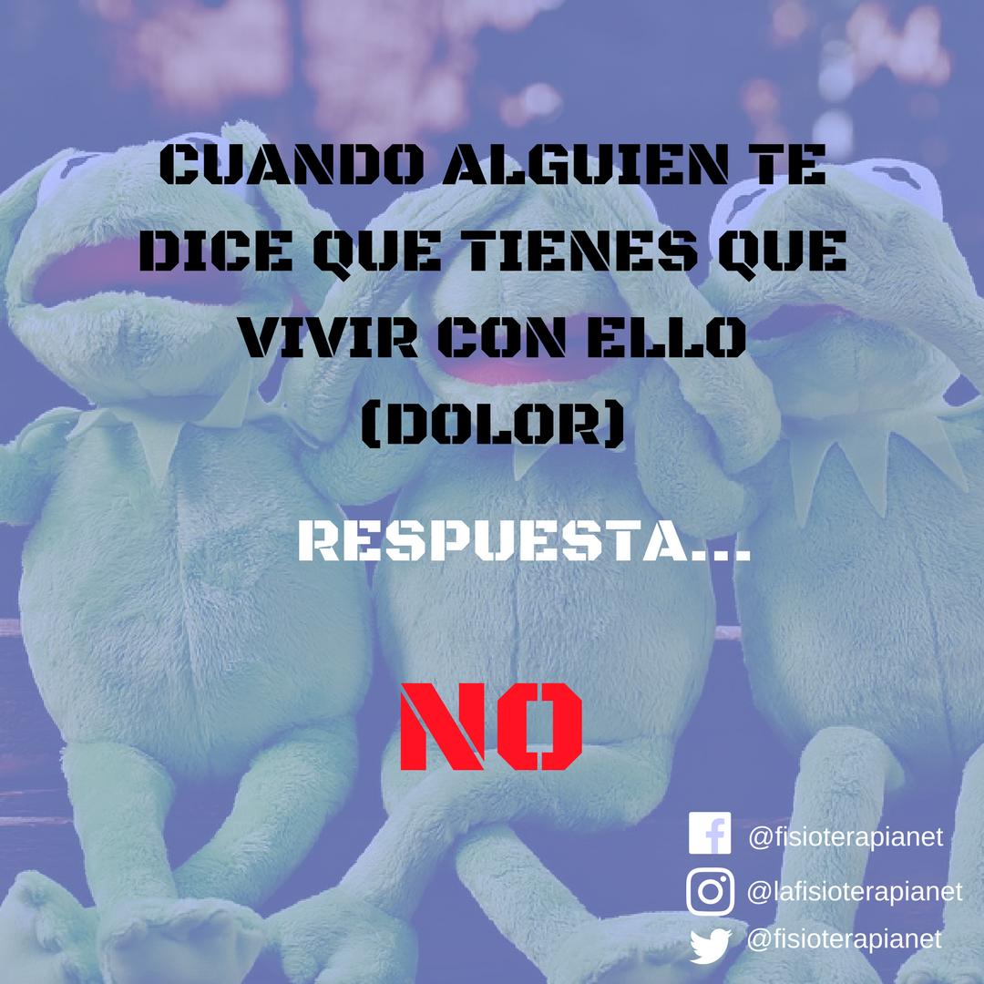 lafisioterapia.net tweet media