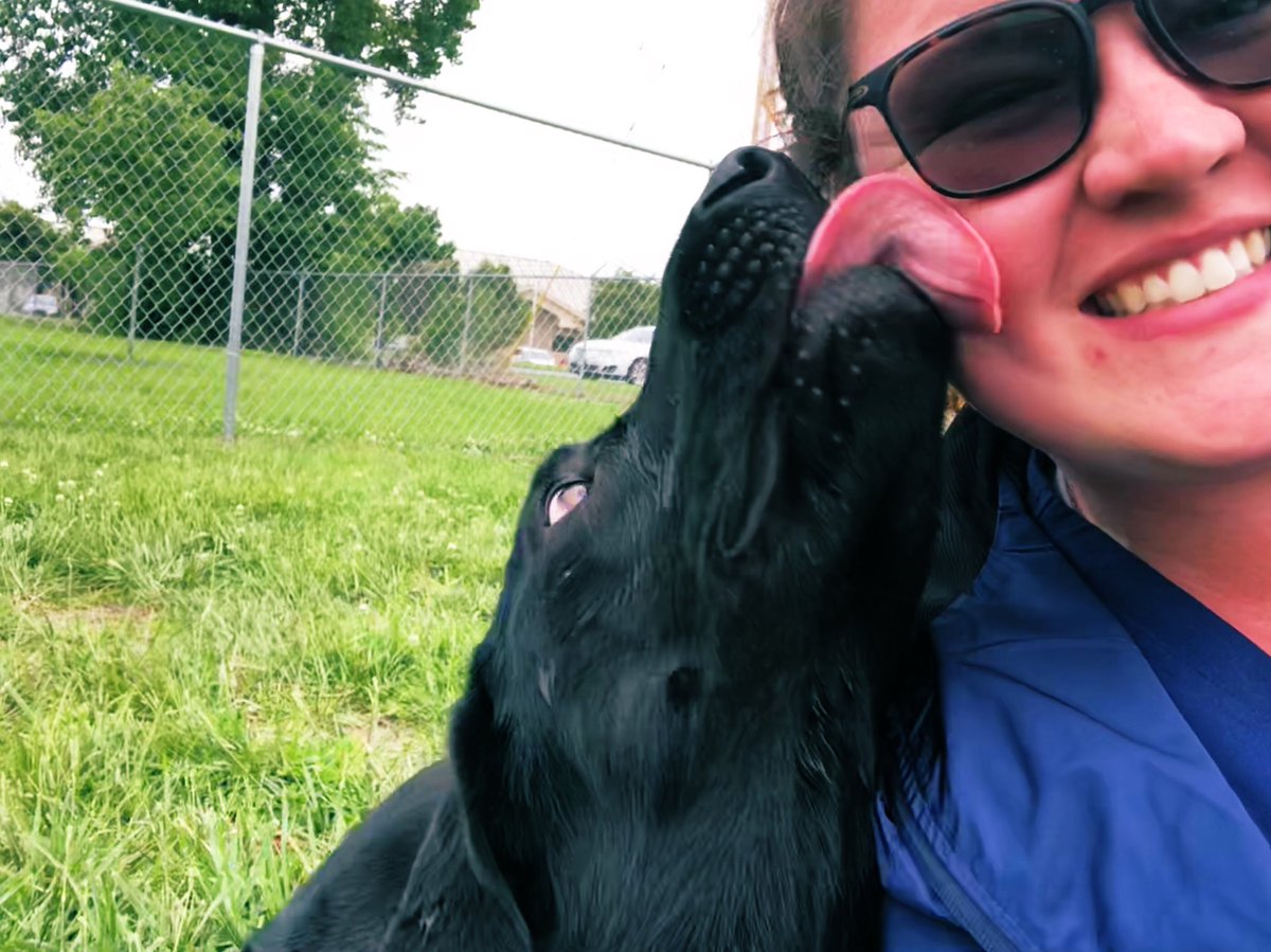 UrDogsThoughts's tweet photo. I luv u Hooman! 
#TongueOutTuesday
#UrDogsThoughts #DogsOfTwitter #Dogs #DogsLife #Puppy #PuppyLove #Dog #DogLovers #DogsAreFamily #DogMom #DogDad #summertime #Adorable https://t.co/kTK8qNeeBm