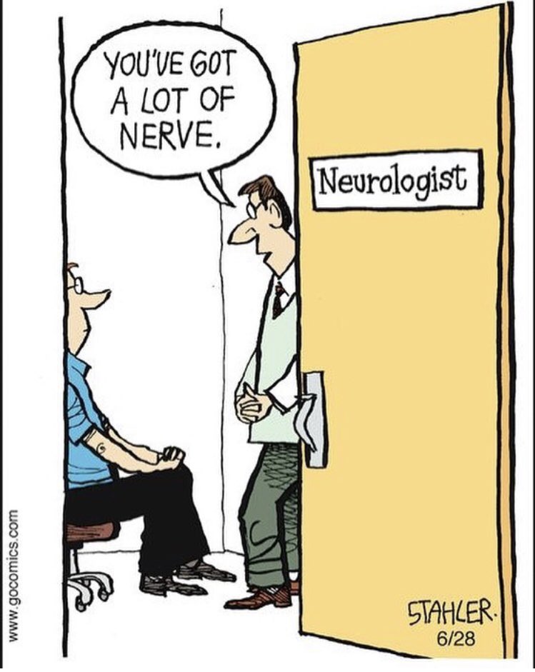 hwilliamsosteo's tweet photo. #nerdjokes #osteopathy #nottingham #backpain #osteopathyworks #healthcare https://t.co/9nErDnRSWu