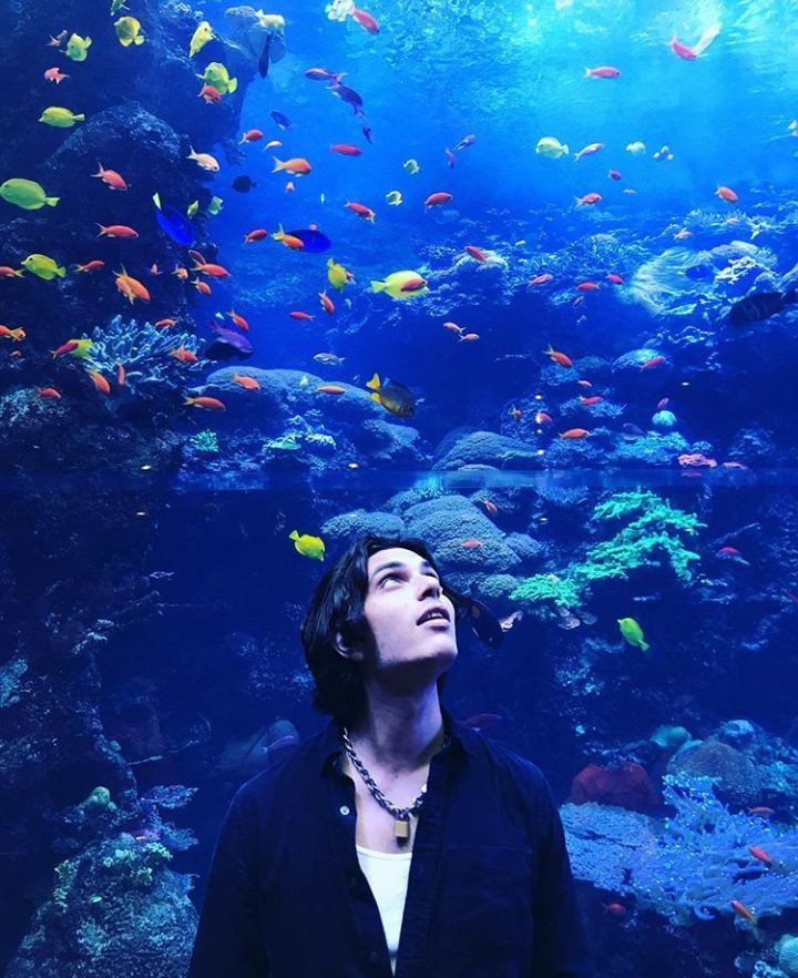ZeedxEvansx's tweet photo. 🐟🐟 https://t.co/r3SNbFis1U
