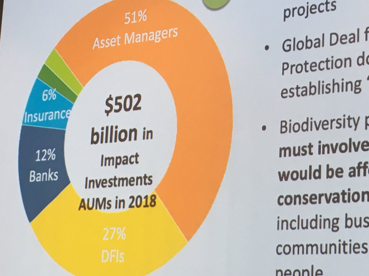 “The private sector is best poised to fill the gap” of 300B USD needed to conserve biodiversity. 88T to be invested, 500B now in impact investments & 52B of this in conservation — “it should be doable” ⁦@EcoEnterprises⁩ #BSR2019 ⁦@UNBiodiversity⁩