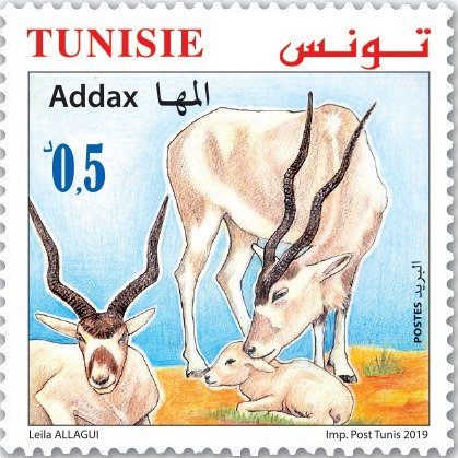 Poste_Tn's tweet photo. La Poste Tunisienne émettra le 22 mai 2019 trois timbres poste dédiés aux animaux en danger d’extinction en #Tunisie : Poney du Mogod, Addax et Oryx.

#philately #PosteTn https://t.co/12uvC53kid