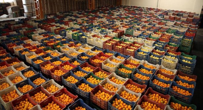 Gelinen yer çok endişe verici: Tarım haberlerine yasak – Eser Karakaş
yesilgazete.org/blog/2019/05/2…