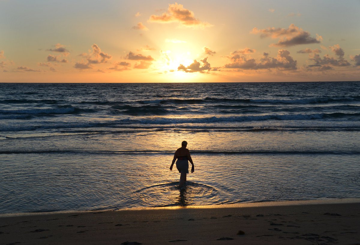 VISITFLORIDA's tweet photo. Good morning, #Florida! #LoveFL https://t.co/fUZTVpSEro