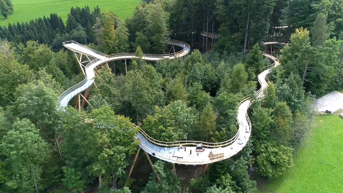 Einzigartig! Das neue Familien-Erlebnis! Der erste #Baumwipfelpfad der  Schweiz! Über eine Länge von 500 Metern schlängelt sich der hölzerne  Parcours bei #Mogelsberg im #Toggenburg in luftiger Höhe spektakulär durch den Wald! @ToggiTourismus 
bit.ly/2FP8bIh