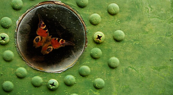 Keep quieting the mind and deepening the connection to just that part of you that is just with it all, just this spacious kind of awareness.

Its called spacious awareness. It’s the sky, just the sky.

Ram Das on Selfhood: ramdass.org/selfhood-spiri…