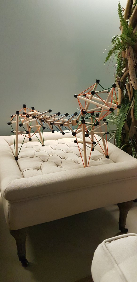 ArteFact_Pro's tweet photo. #tensegrity Bulldog 🐕🌐🐾 #anatomy #bodymotion #fascia #fascianating #biomechanics #1sttensegritycentury #physiotherapy #geometry #ParadigmShift @SlowLifeHouse @ArteFact_Pro https://t.co/eVadMIrDkG