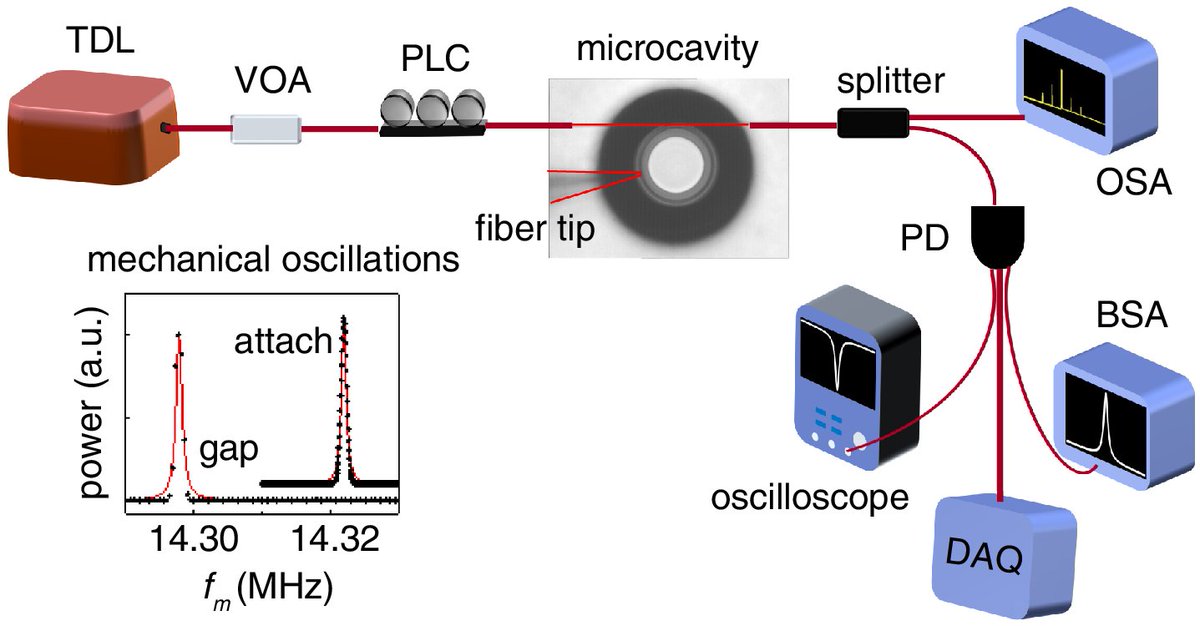 OpticaPubsGroup's tweet photo. An Editors' Pick from #OSA_OL: Noise suppression of mechanical oscillations in a microcavity for ultrasensitive detection https://t.co/MfApdbu3z4 #Microcavities #DetectionLimit https://t.co/AIk3NPfvNG