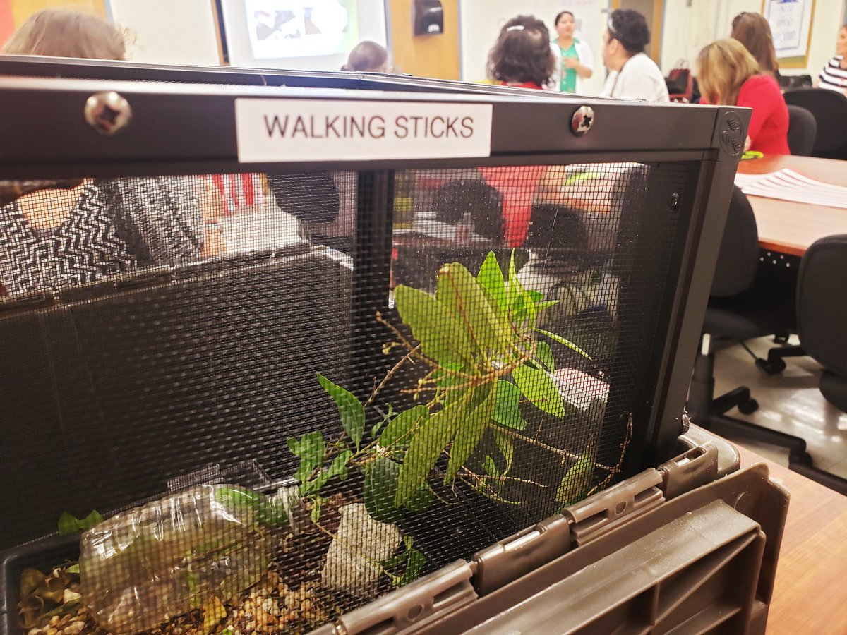 LMaiaILC's tweet photo. Our Byan Adams Elementary Cluster CICs enjoy their session with The Dallas Arboretum & Jonesville Project partners! #CrossContentConnections #NENetwork #ImWithTheBAND #ScienceInAction @ClaritaRivera18 @_Rachel_Alvarez https://t.co/xBk2lC0frN
