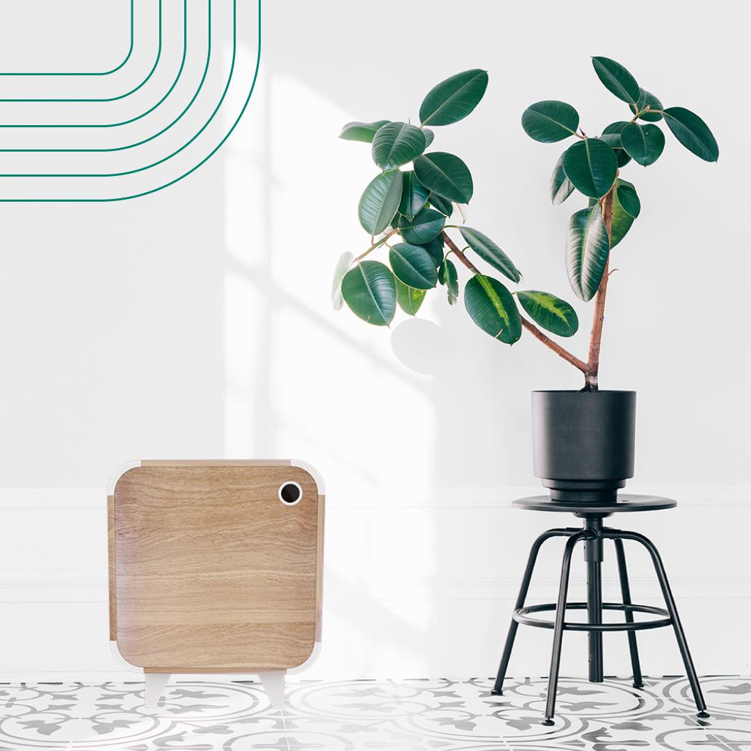 wearecoolbo's tweet photo. ✨ Not just in the beginning of a new year you can start making some daily changes for a better world. How about starting it now? 😉
🌿 Go check out 30 Sustainable Resolutions by My Green Closet at 🖥 https://t.co/2UbvsauVC0
#lifechoices #getcreative #criativity #creativesolution https://t.co/8IyNdS8hzC