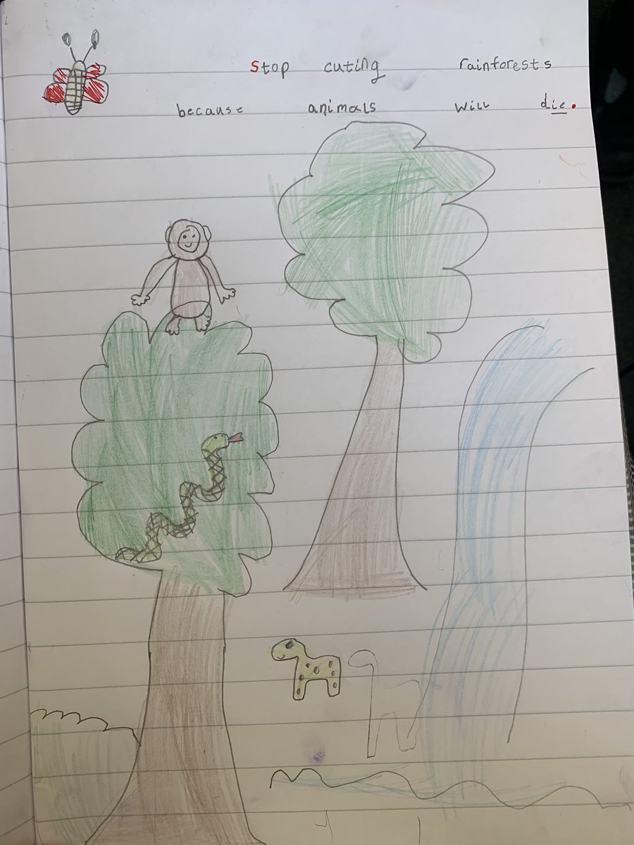 miss_lhs's tweet photo. The children in year 1 came in from lunch to discover that their rainforests had been destroyed. We then discussed the impact of deforestation on the animals, people and the rest of the Earth and made posters about protecting the rainforest @LHS_Watford @HeadLHS @MrsBygraveLHS https://t.co/DaLzNpPdvT