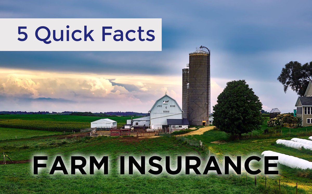 Ethos_Insurance's tweet image. It’s Quick Facts Tuesday! This week: Farm Insurance 🐷

facebook.com/ethosriskmgt