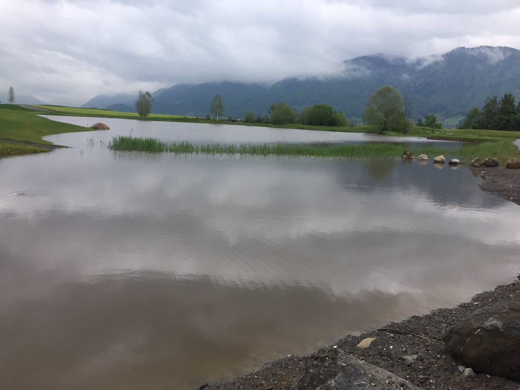 GolfparkZ's tweet photo. @PostFinance 100mm @golfparkz bunkers still perfoming well not so much the lakes 🤒 https://t.co/T8ebxpN0O7
