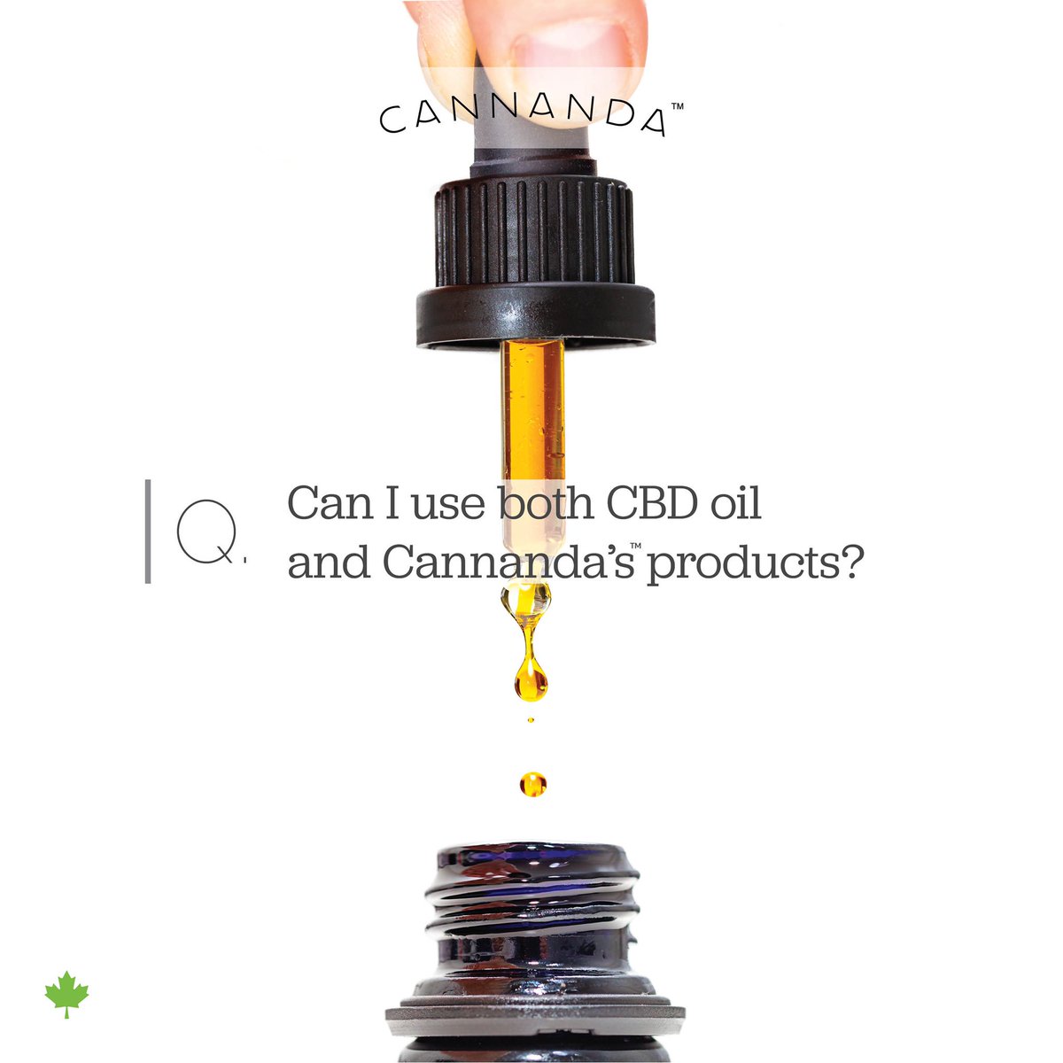 CannandaCrew's tweet photo. A: https://t.co/ZMUu0EwSsC
#CBD #CB2blend #CB2Q&A #Cannanda #CannandaCrew https://t.co/0qKGGjo0R4