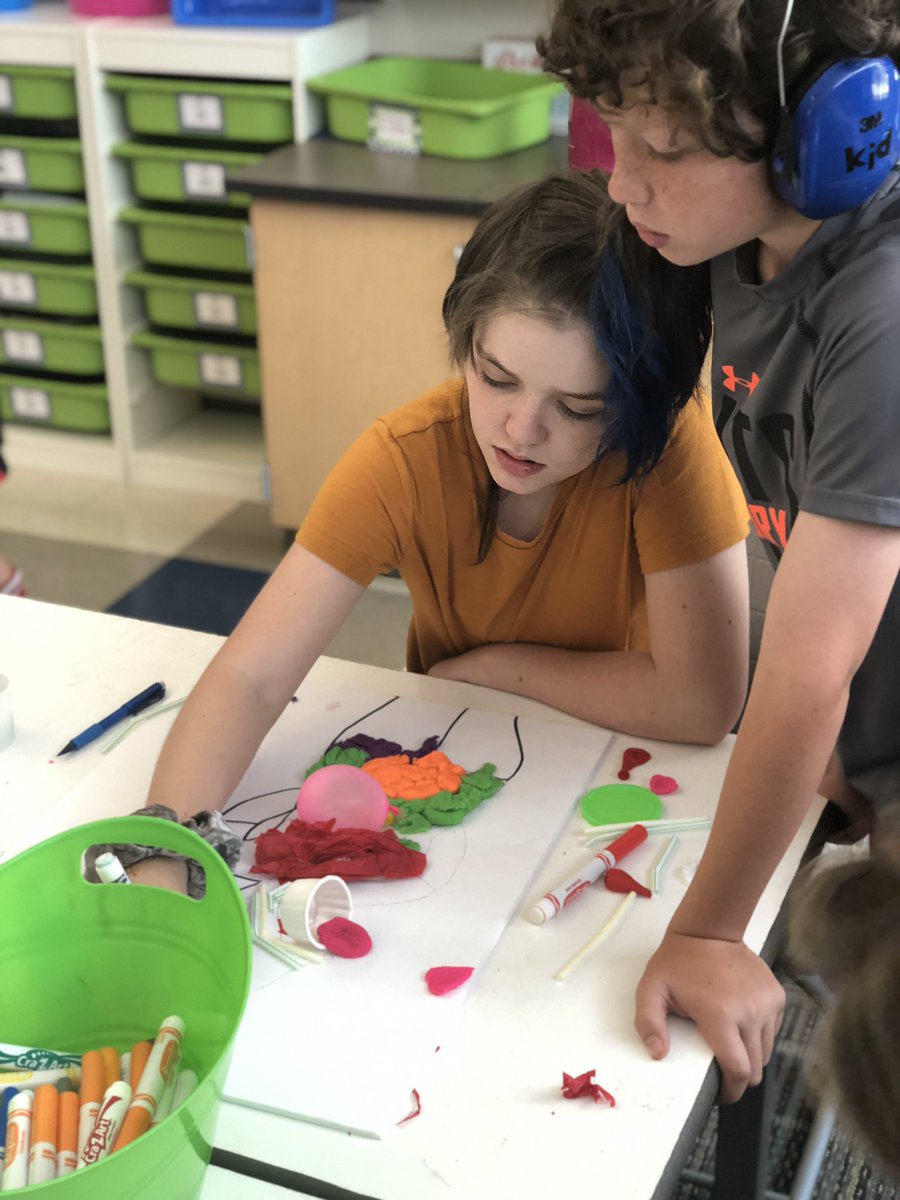 MsDiMeglio's tweet photo. Our kiddos are working in small groups to create poster art and poetry to review the parts of the digestive system! #IntegrateTheArts #CrossCurriculumLearning #TheACSWay #ExperienceDickson #WeLoveScienceToo #PoetrySlam https://t.co/0fIc1pnUsC