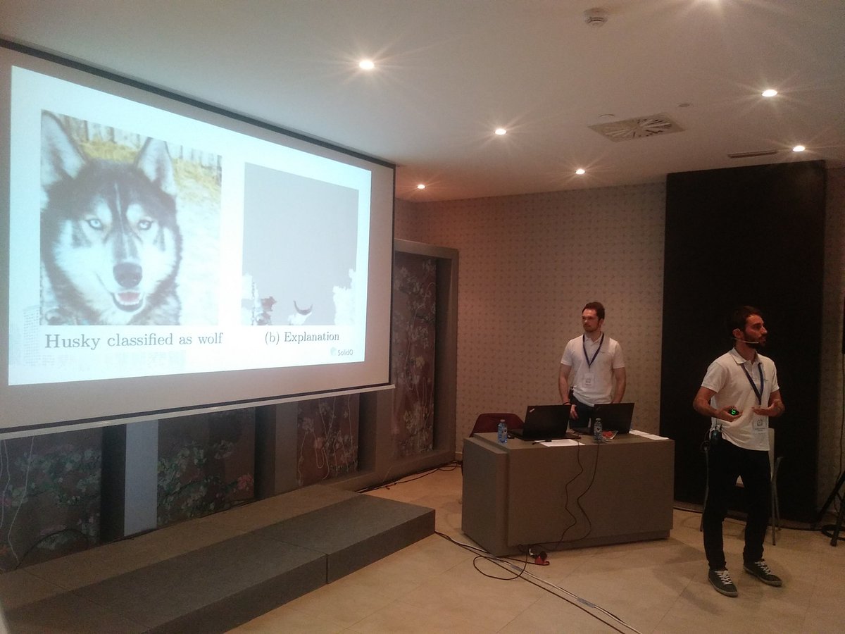 pausempere's tweet photo. Lobos, huskies y Machine Learning interpretable con @guiferviz y @pcorral23 en el #SQSummit19 https://t.co/dt6syFoMvr