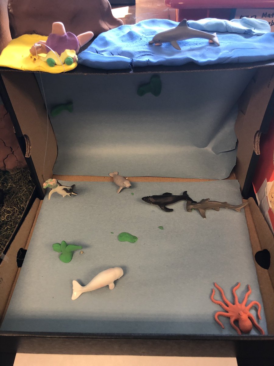 Mrs. Werner tweet media