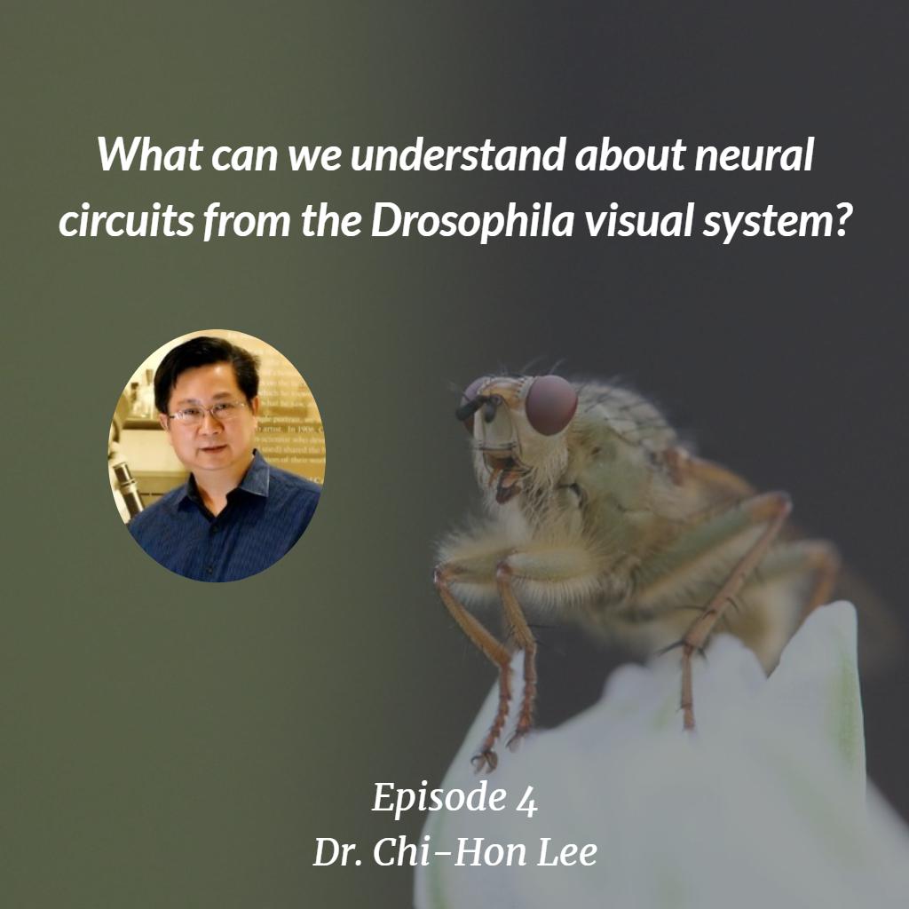 STEMSpeak on Twitter "https//t.co/1iVVfKM8W3 🙌 Hey everyone check out