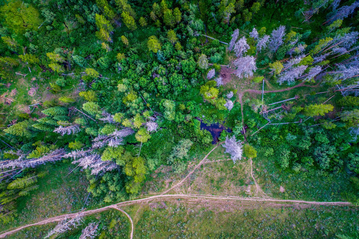 k2geospatial's tweet photo. Un dernier arrêt dans la ville de Val d'Or avant les #Vacances d'#Été. Réservez votre après-midi du 18 juin! 🌞🗓 Pour plus de détails 👉https://t.co/75z9C2Pwe3 #K2Geospatial #JMap https://t.co/0vKM3Pn1s3