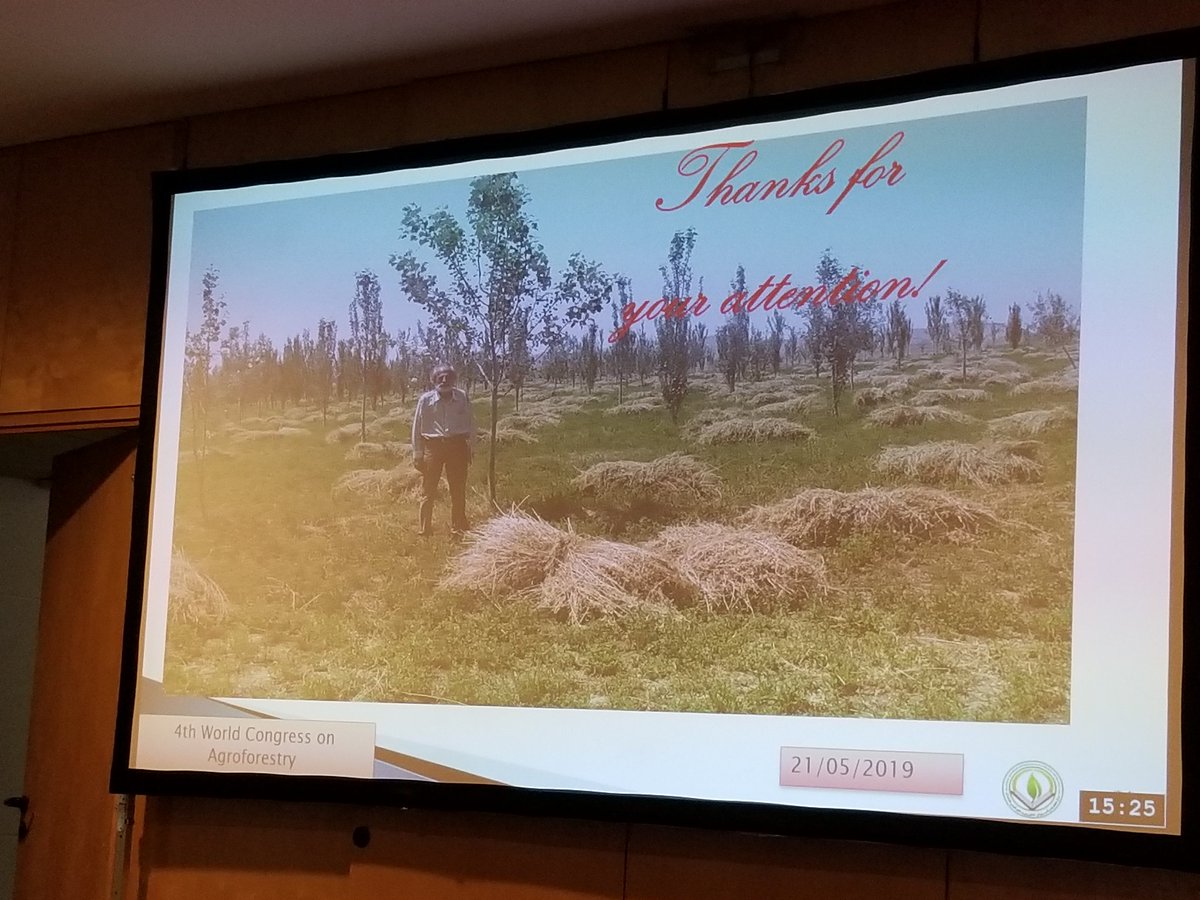 #agroforestry2019 Farhad Asadi #Iran spoke about #intercropping of #poplar and alfalfa <a href="/EURAF_AF/">EURAF</a> <a href="/ICRAF/">World Agroforestry</a> <a href="/AFTAgroforestry/">Association for Temperate Agroforestry (AFTA)</a>