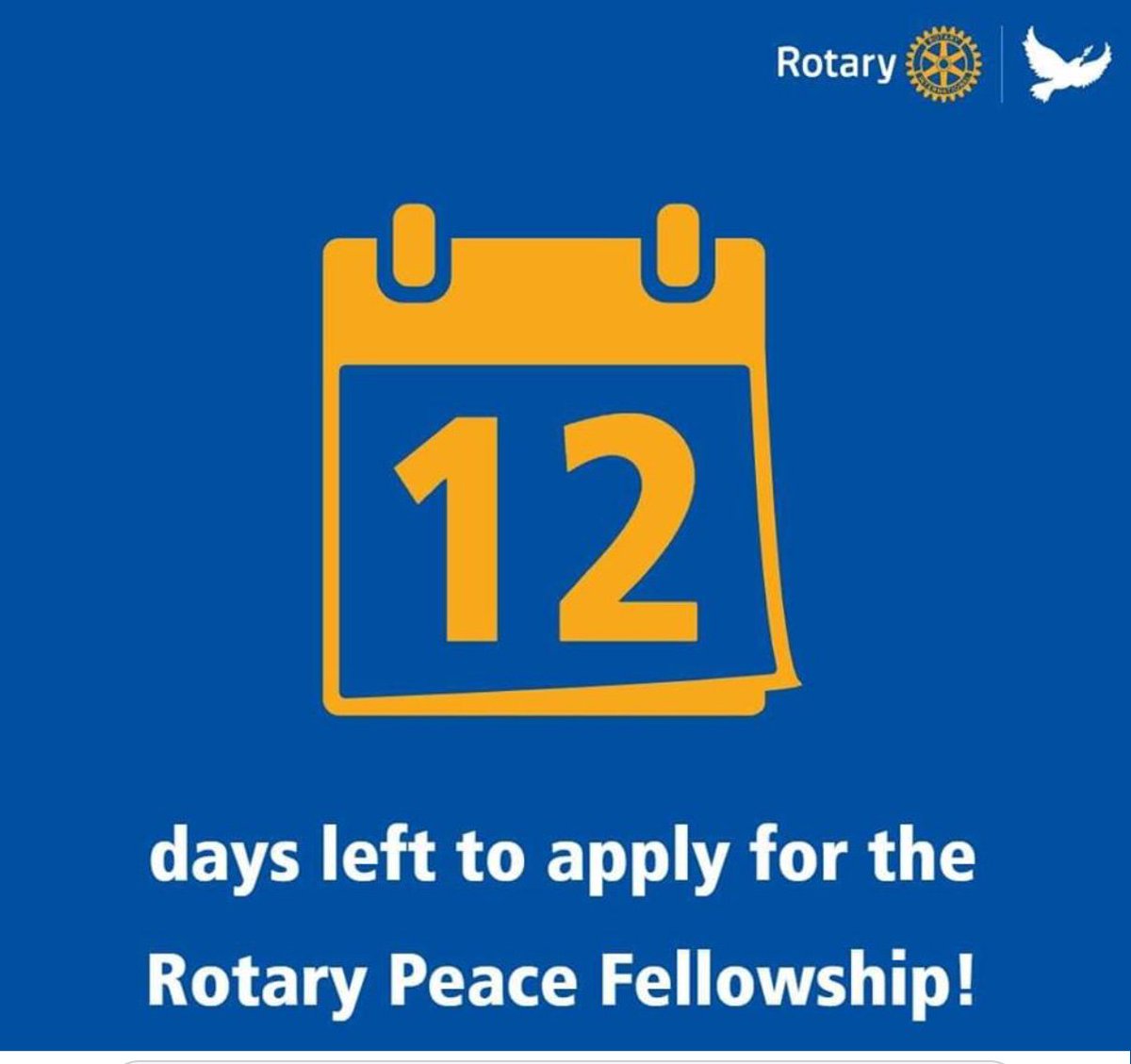 Rotary1180's tweet photo. Get your skates on....

             ....this could be 

                             Y  O  U  !

https://t.co/So3QjZlg9i https://t.co/j8nwv943Y7