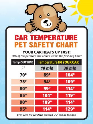 Dog Outside Temperature Chart