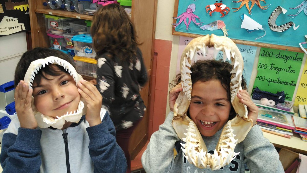 Lemos_lab's tweet photo. @Lemos_lab #Sharkattract project team went to #Peniche school to talk about #sharks and #rays and show how these animals are so fantastic! 🦈🦈🦈🌊🌊

@OceanarioLisboa @ESTM_IPL @Lemos_lab #MARE #scicomm https://t.co/2m566NM0ar