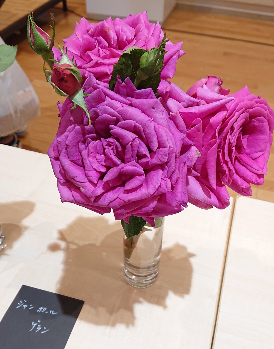 はなまる 花フェスタ記念公園 今日行ったのは 後藤みどりさん 玉置さんのトークショーとガイドツアーがあったのため トークショーはオールドローズのお話や ヤバいバラのお話がありました オールドローズを趣味の園芸で勉強中 講師も後藤みどりさん