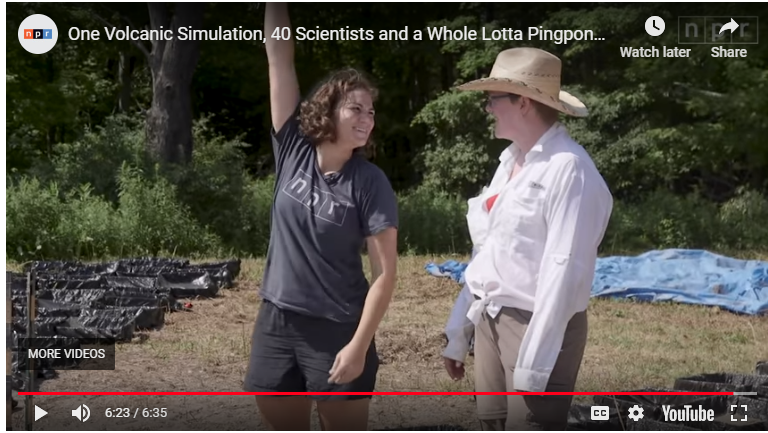 Alison Graettinger tweet media