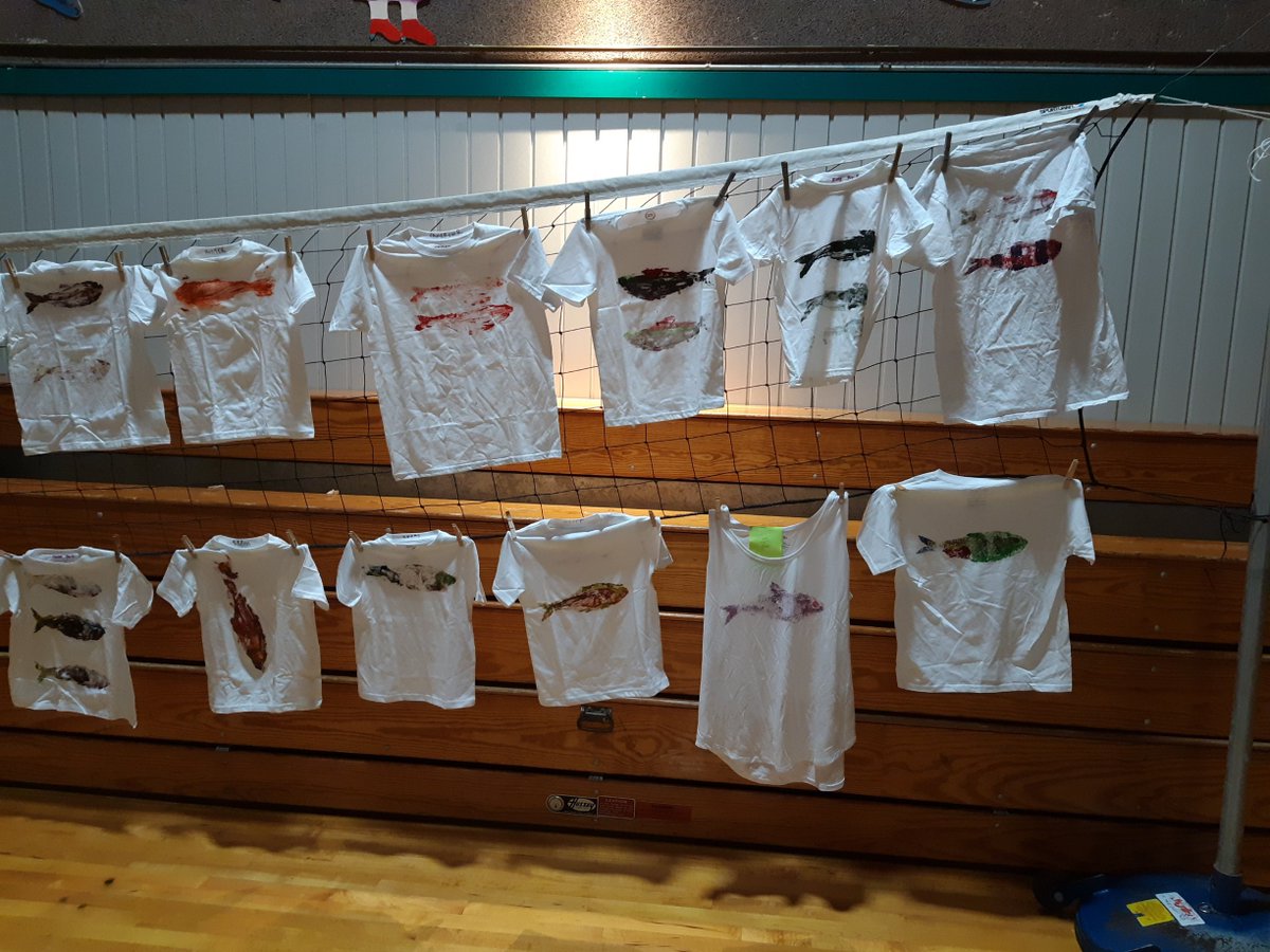 mccfisheries's tweet image. MCCF's Mike Thalhauser recently celebrated "Maine Day" with students at Sedgwick Elementary School. Students had the opportunity to decorate their own alewife t-shirt and learn about the fascinating species and its importance in Maine's rivers and ponds. #SaltWaterFreshThinking