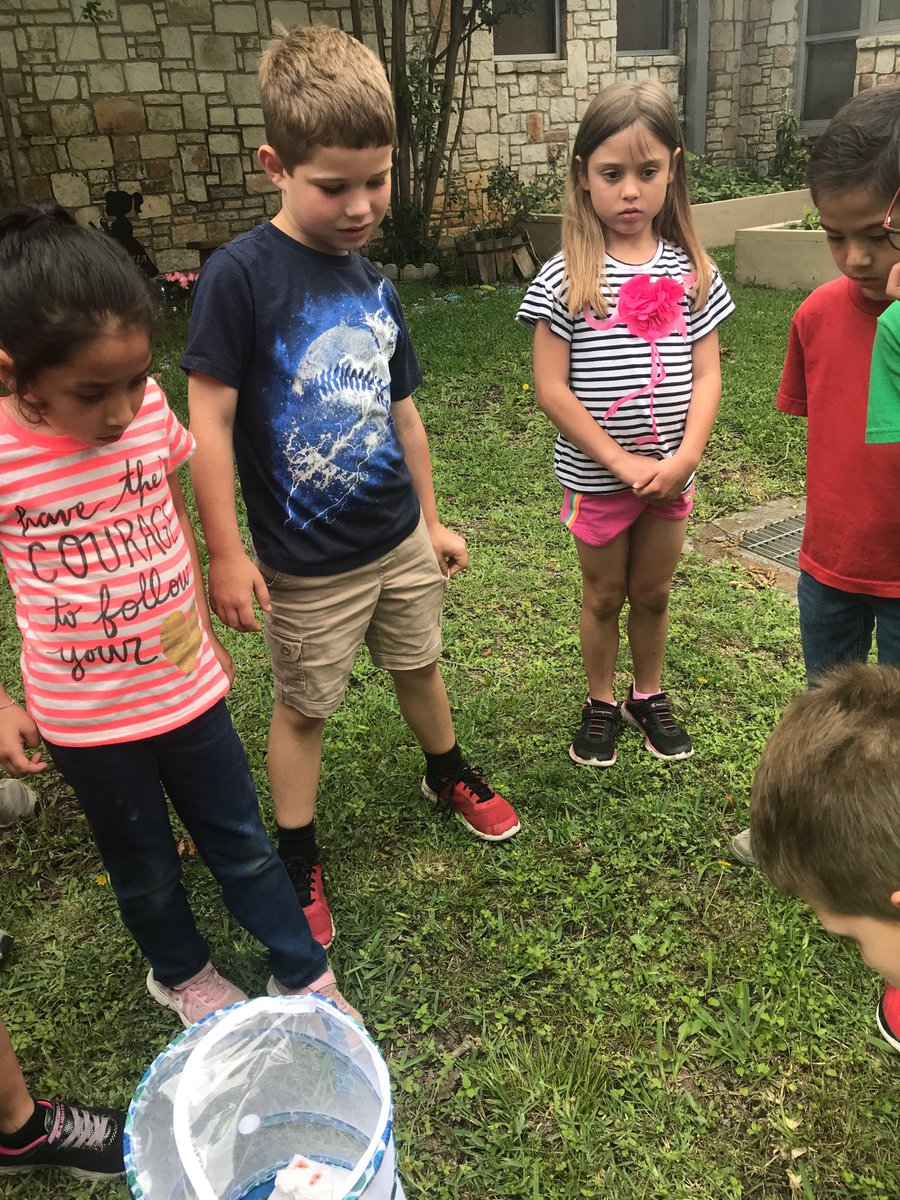 casher_1stgrade's tweet photo. Released our butterflies! #butterflylifecycle #firstgraderocks ⁦@AesBulldogs⁩ https://t.co/w7rpj36MBx