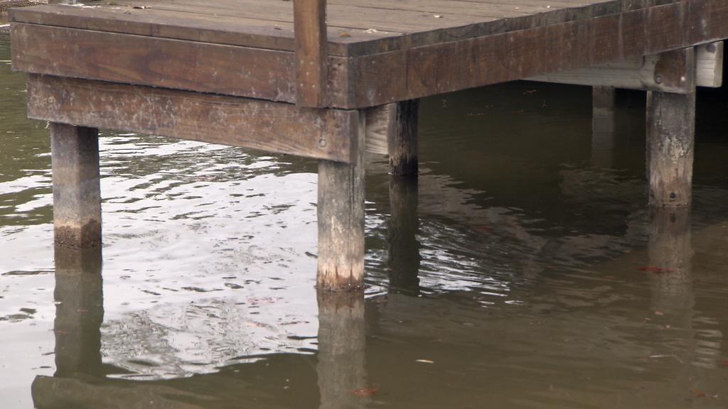 FishHandbook's tweet image. It's warming up outside, which means shade will be key to finding bites!  @BassProShops @Cabelas #TeamOutdoors #Fishing #BassFishing #Summer #Docks