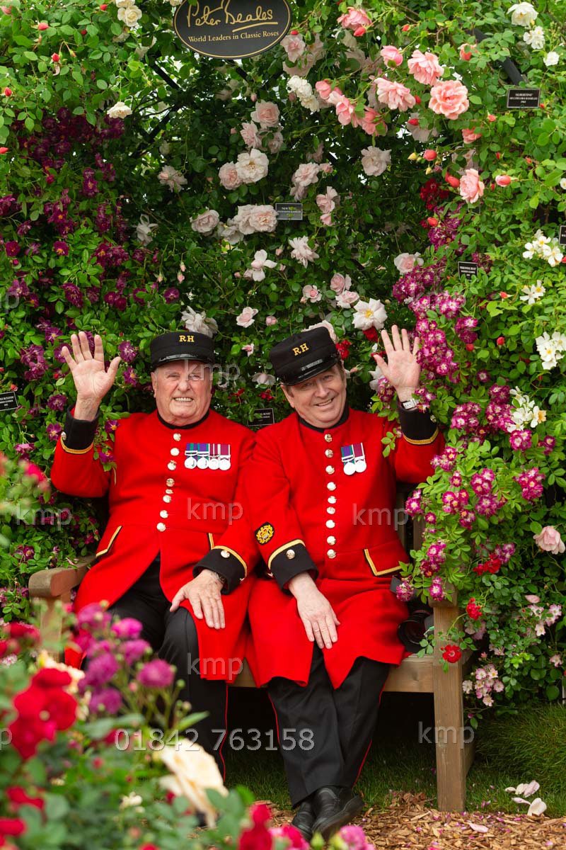 KeithMindham's tweet photo. Congratulations to Peter Beales Roses on winning their 26th Gold medal at Chelsea Flower Show were they also launched their latest rose 'Liverpool Hope' https://t.co/HygkZHZpK9