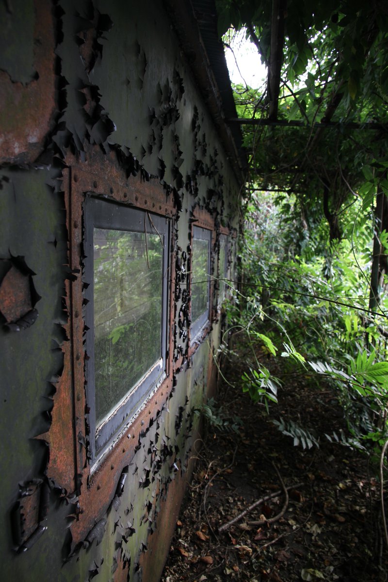 日本廃墟研究所 Nhk A Twitter 廃墟vol275 車掌車という車両を喫茶店に転用していた そして廃墟に 廃喫茶店であり廃車両でもある物件 ポッポ 廃墟 廃車掌車 廃車