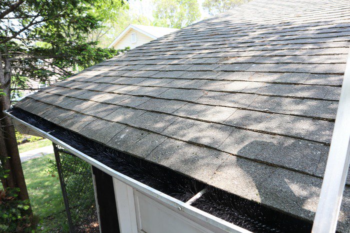 DeliciouslySavv's tweet photo. Maintain The Gutters On Your Home Affordably With @GutterBrush Gutter Guard's! #GutterBrush Gutter Guards Are Super Easy To Install, Super Effective & Amazingly Affordable! #Ad 👉🏼https://t.co/AdyBxogMXT👈🏼
*
*
PLUS See My Before & Afters @DeliciouslySavv👉🏼https://t.co/D6VHXXUZpA https://t.co/JW6VuCmyb4