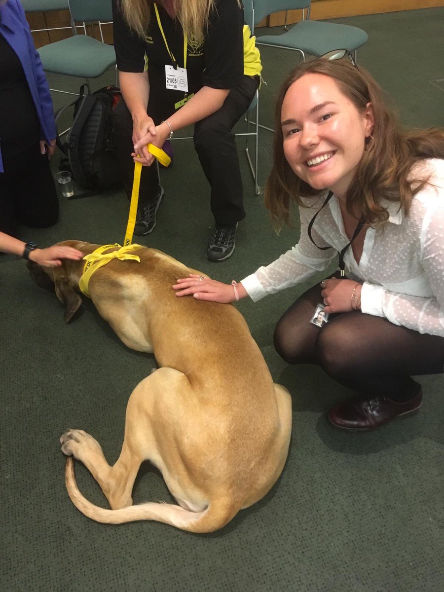 tvanjohns's tweet photo. Hard day in the office... therapy dogs to the rescue! #therapydogsUK https://t.co/kSPKMPxc3p