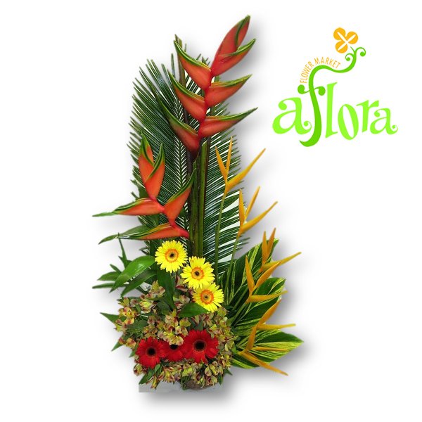 Arreglo de Flores Exóticas “Calipso” con diseño asimétrico que combina las flores tropicales y clásicas en colores vibrantes para sacarle una sonrisa a esa persona especial.