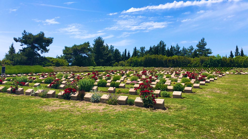 bnbgundogan's tweet photo. #LonePine roses in full bloom. #Anzac https://t.co/nFk3IDx4Gh