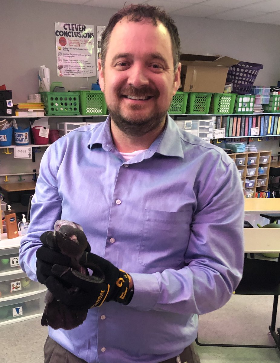 JeffAnger's tweet photo. There’s a first time for everything even after 11 years as a principal. Add ‘bird catcher’ to: plumber, mover, counselor, custodian, painter, cook, cashier, teacher, substitute, construction, exterminator, tree trimming, cab driver, bus monitor, etc. https://t.co/lKTZMpztYN