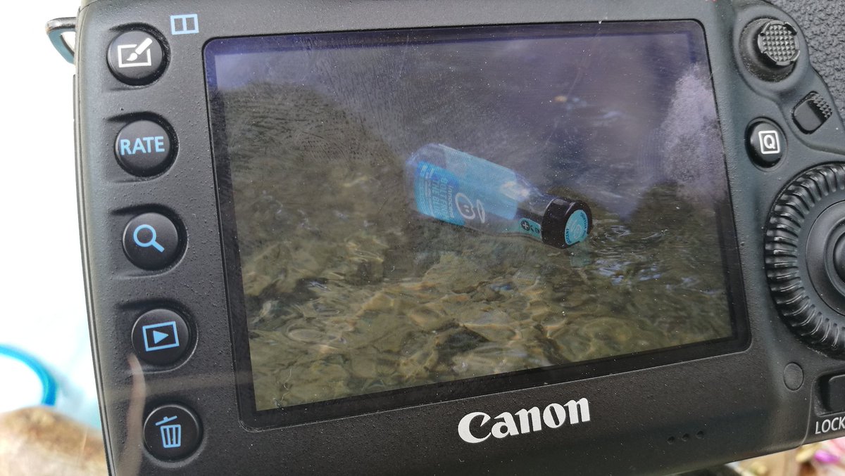 TammyLynn Kwan ☮️💙💜 tweet media