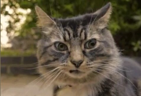 Birisi, hâlâ kafile dergi almadım deyince biz
#kafiledergi